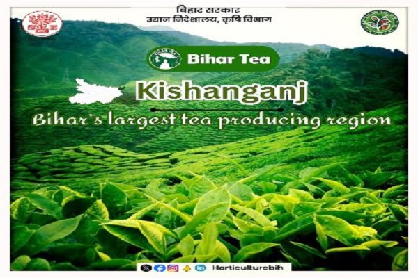 patna to kishanganj cabs